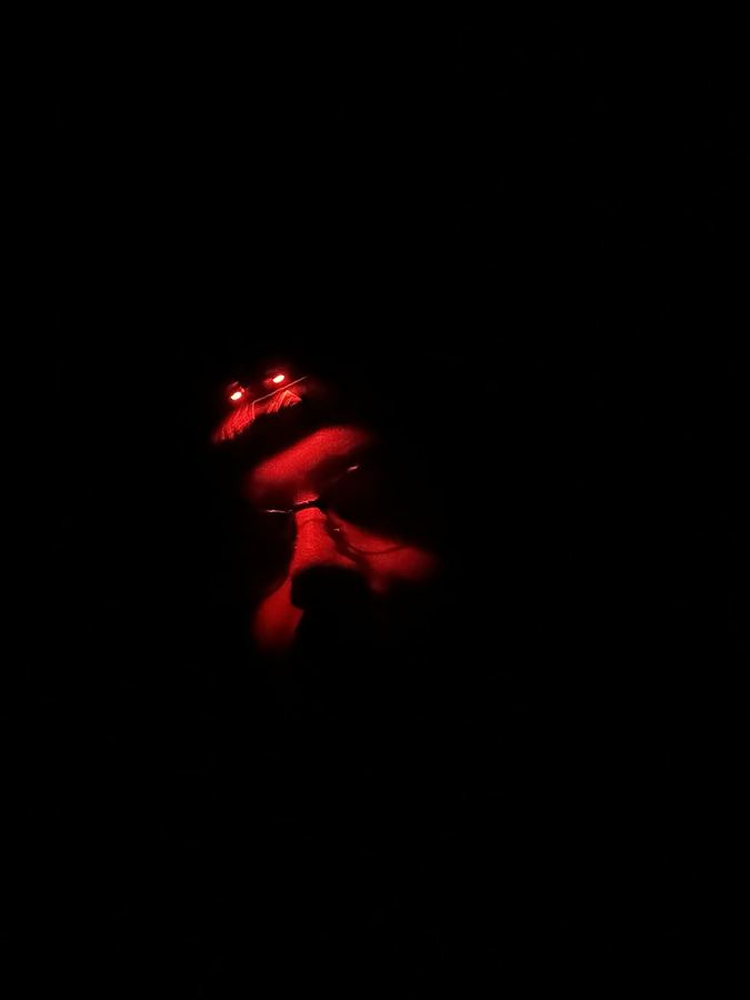 A face lit only by red light in total darkness.