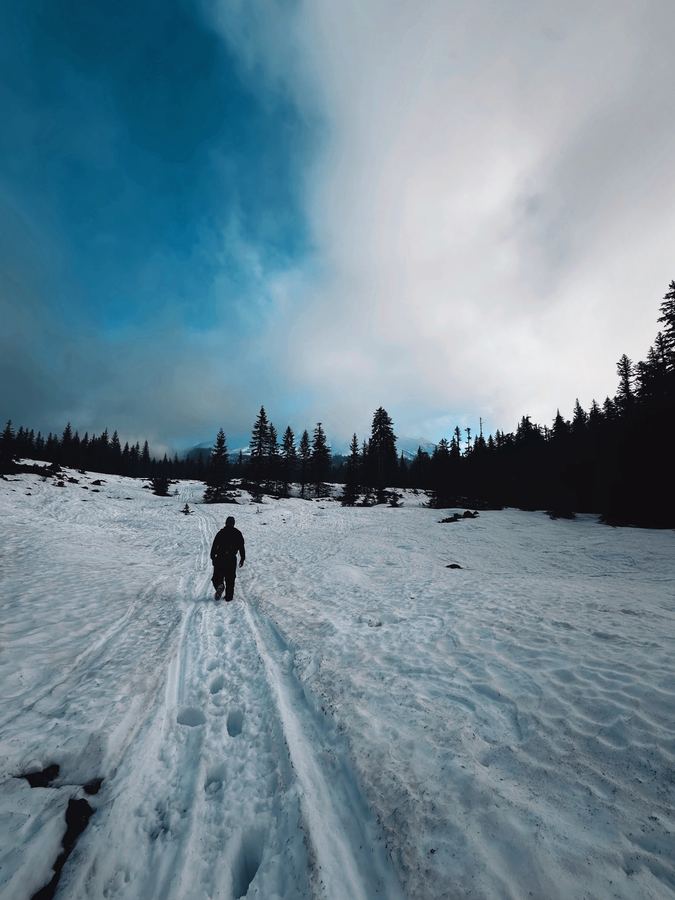 A lone hiker walking a snow trail toward dark pines under a split blue sky.