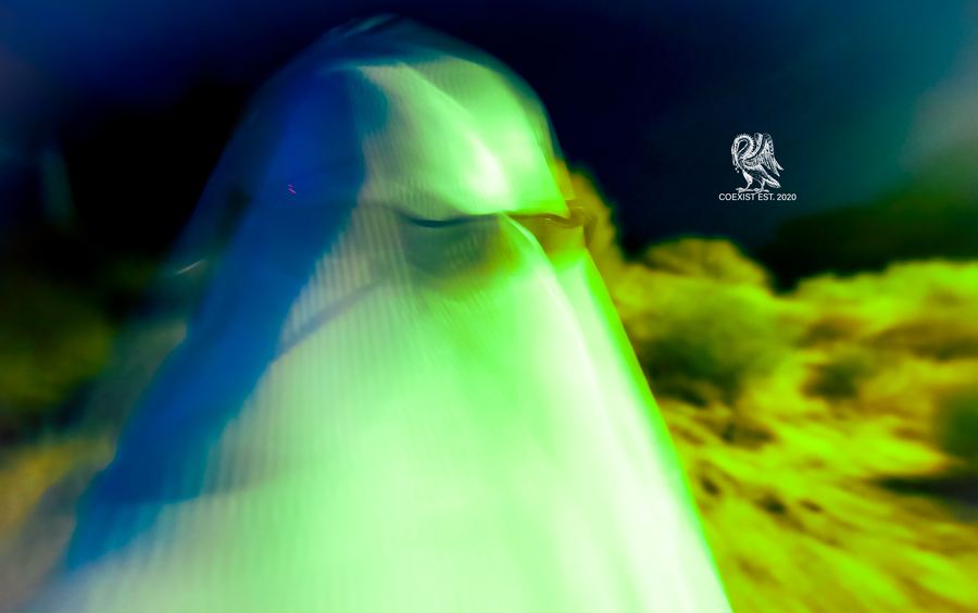 A veiled figure washed in green and blue light against a glowing landscape.